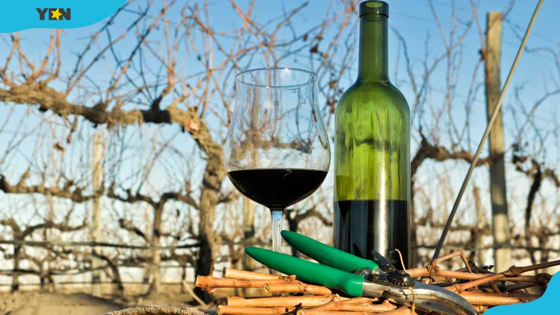 How to open a wine bottle without a corkscrew How to open a wine bottle without a corkscrew