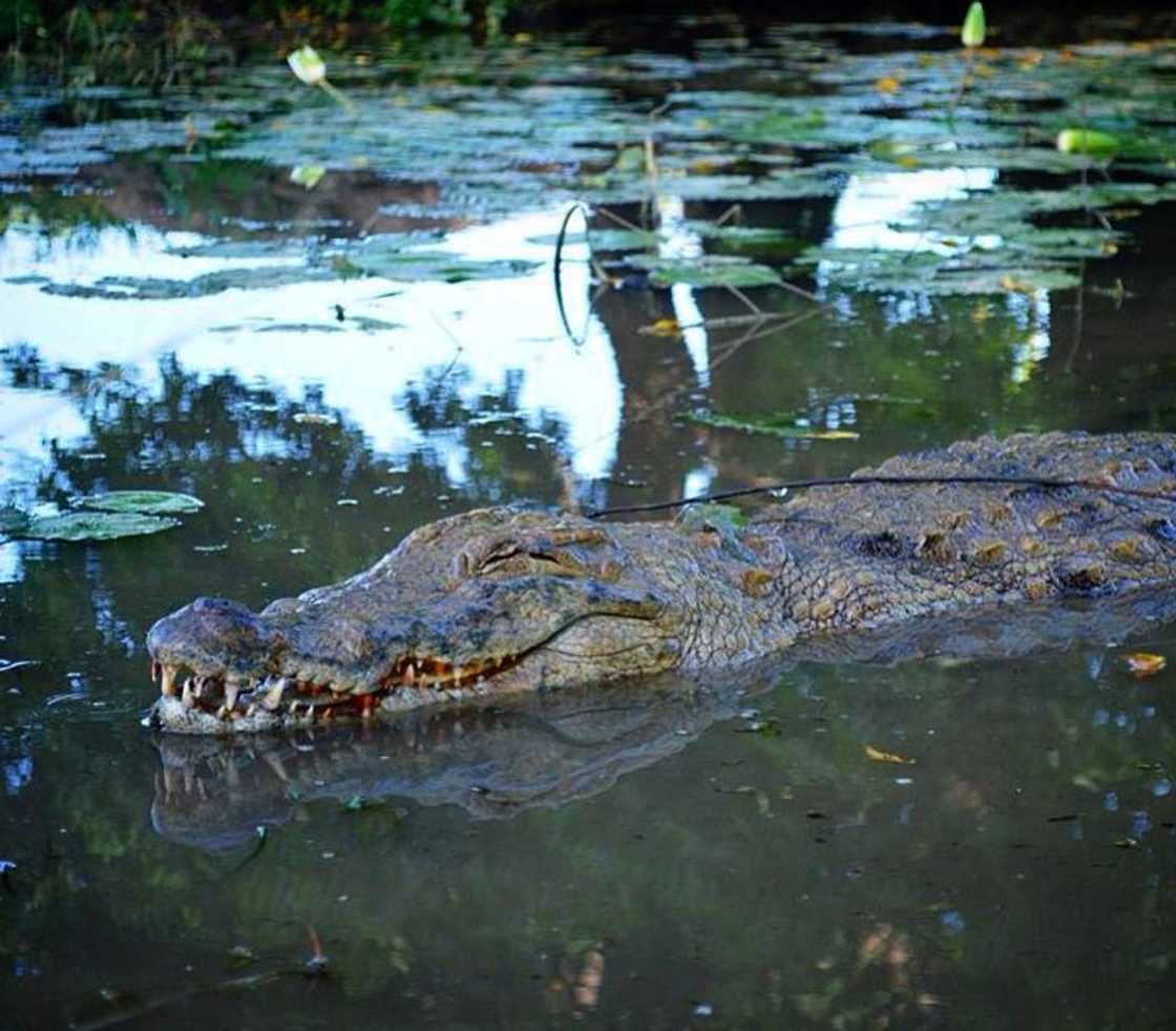 pictures of ghana pictures of ghana