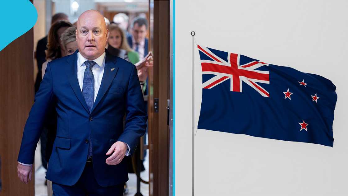 New Zealand immigration, publicly funded maternity care, pregnant women eligibility, UK citizens maternity services, asylum seekers healthcare, trafficked persons support, Interim Visa maternity access, government-funded maternity support