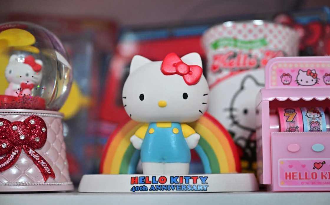 Hello Kitty remains a global phenomenon, with a Warner Bros movie in the pipeline and a theme park due to open next year in China Hello Kitty remains a global phenomenon, with a Warner Bros movie in the pipeline and a theme park due to open next year in China
