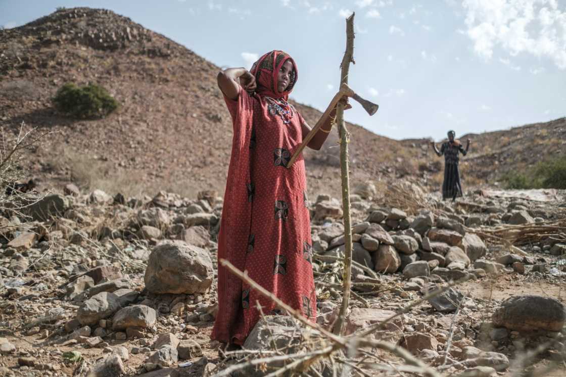 Displaced people in the makeshift camp in Erebti, in the Afar region of northern Ethiopia, have been struggling to survive