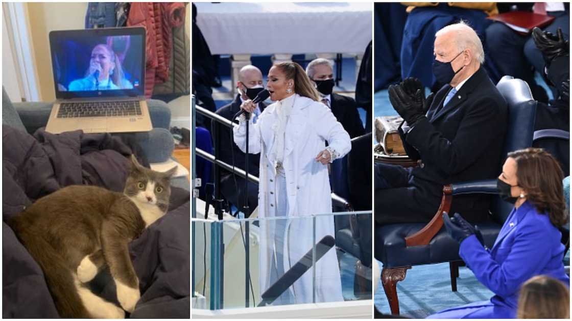 See how this cat reacted to Biden inauguration as US president during Jennifer Lopez's peformance See how this cat reacted to Biden inauguration as US president during Jennifer Lopez's peformance