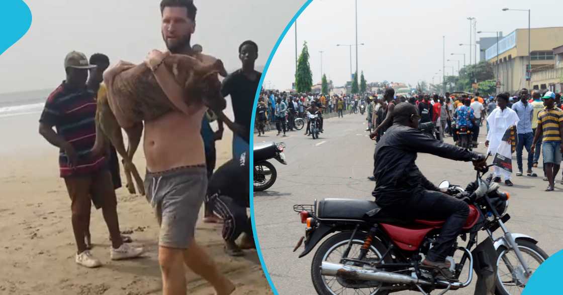 Okada rider knocks down dog Okada rider knocks down dog