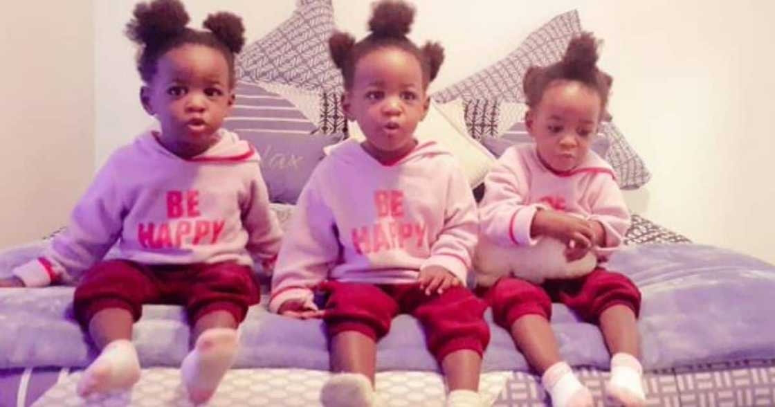 A proud dad has shown off his triplets on social media. Image: @Lucasi30/Twitter A proud dad has shown off his triplets on social media. Image: @Lucasi30/Twitter