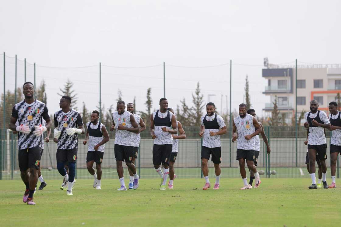 Ghana vs. Mali World Cup qualifiers, Ghana vs. Mali head to head, Ghana's World Cup qualifier results, Mali's World Cup qualifiers results