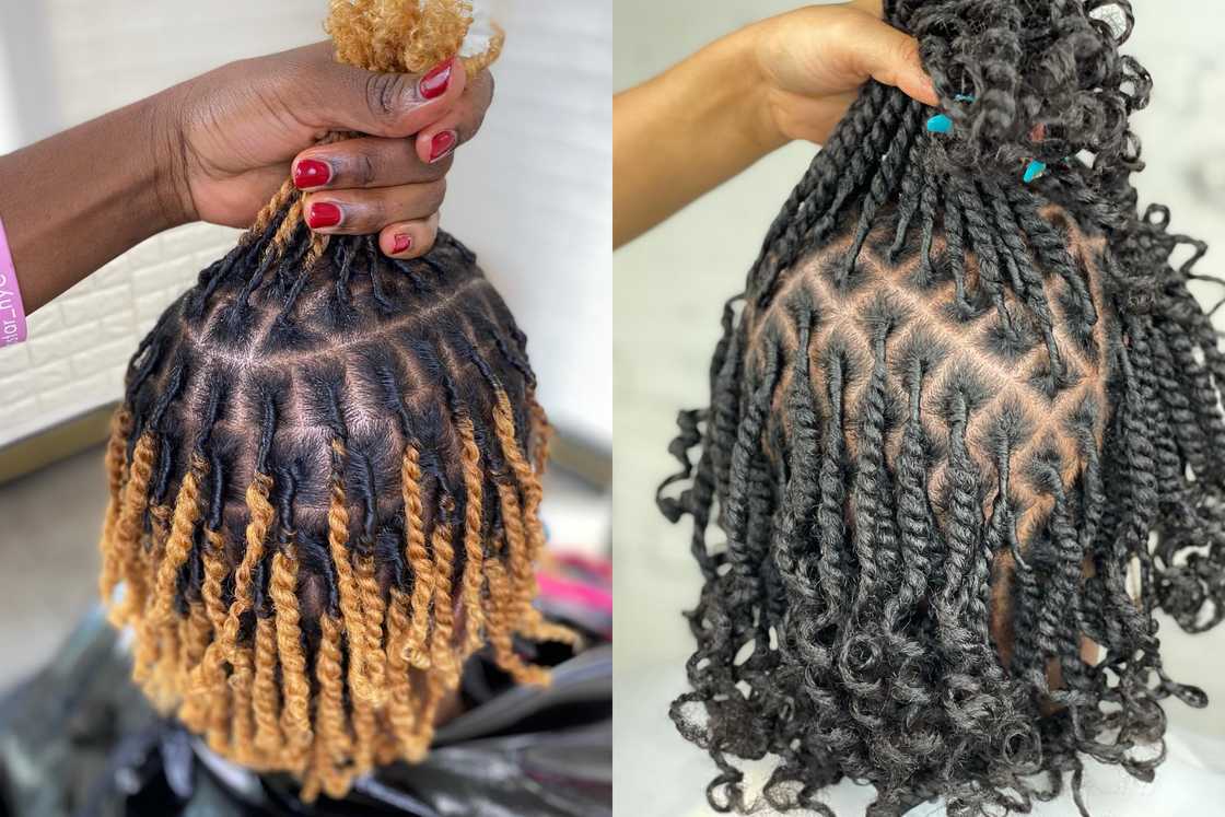 starter locs starter locs