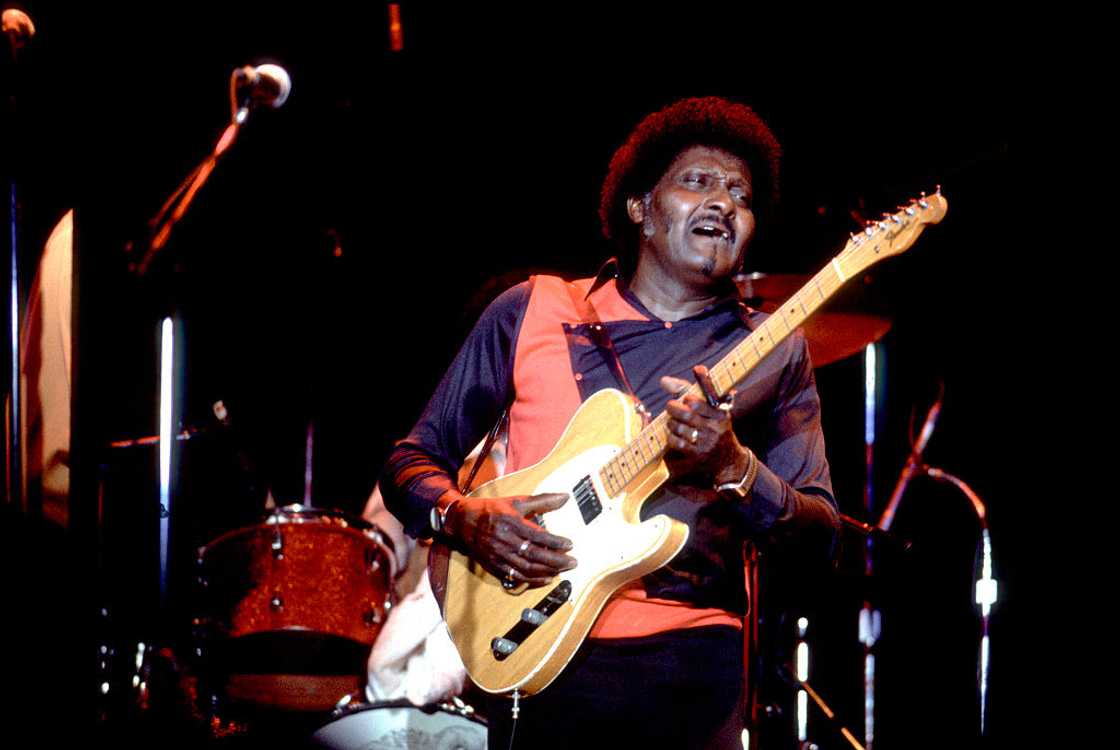 American blues musician Albert Collins performs at the Park West auditorium, Chicago, Illinois. American blues musician Albert Collins performs at the Park West auditorium, Chicago, Illinois.