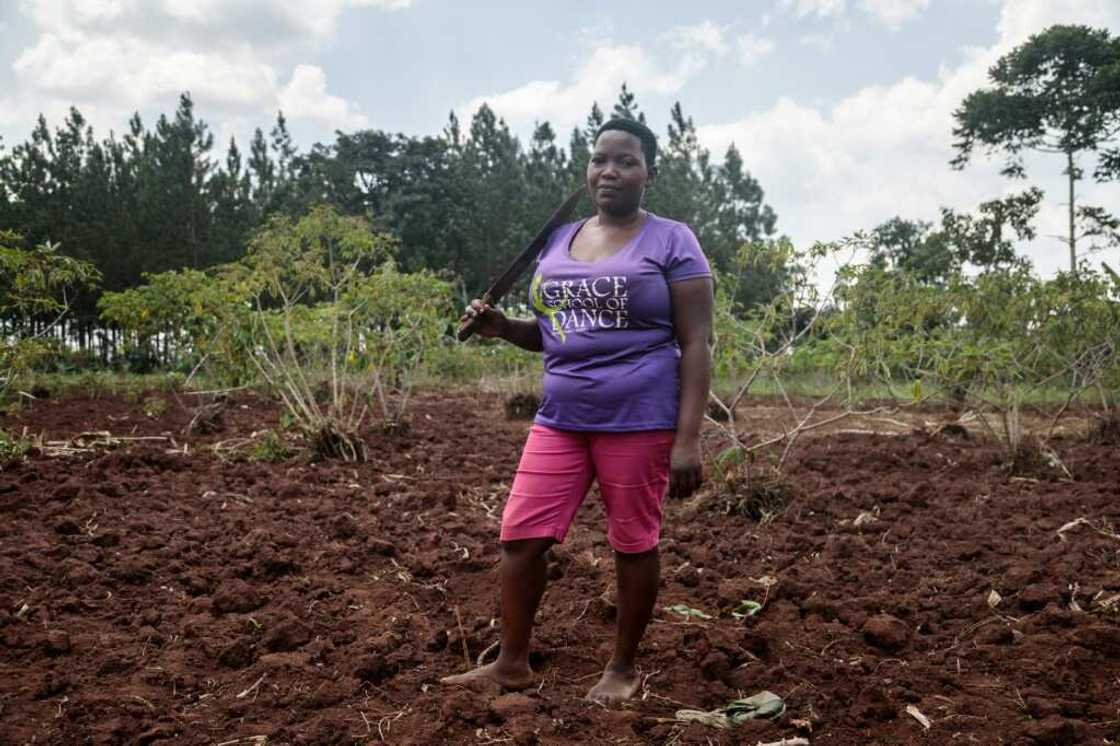 Scola Namataka told AFP she could never have imagined raising insects, especially ones known to feast on faeces