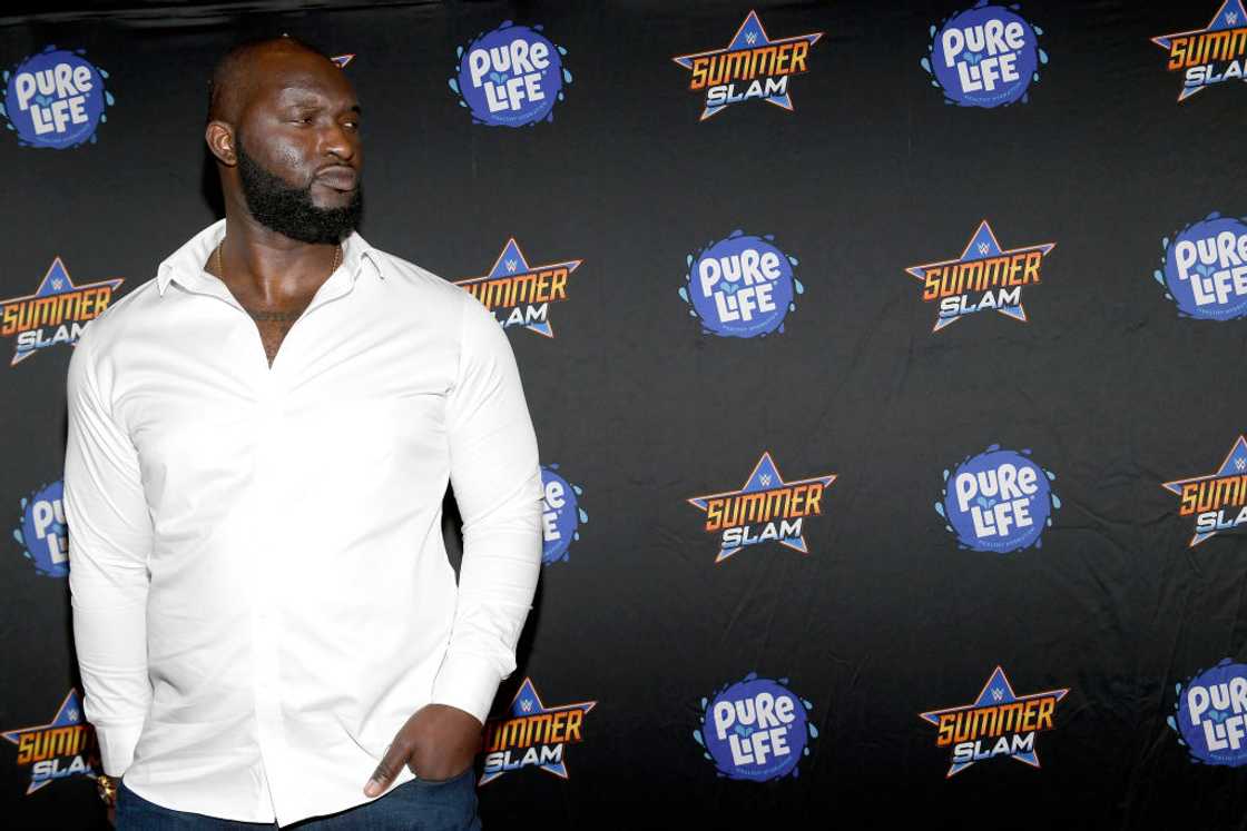 Famous WWE wrestlers Famous WWE wrestlers