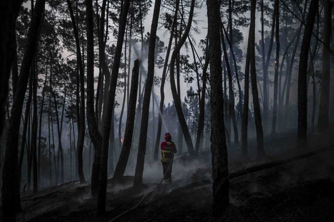 The government issued a national 'state of contingency' as the latest fires raged, which puts rescue personnel on alert The government issued a national 'state of contingency' as the latest fires raged, which puts rescue personnel on alert