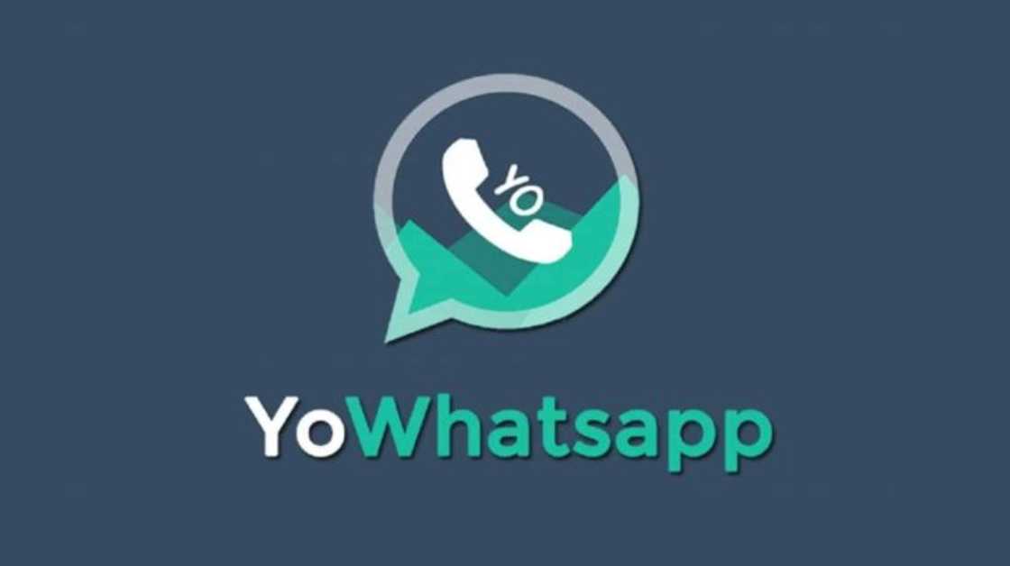 YoWhatsApp APK download