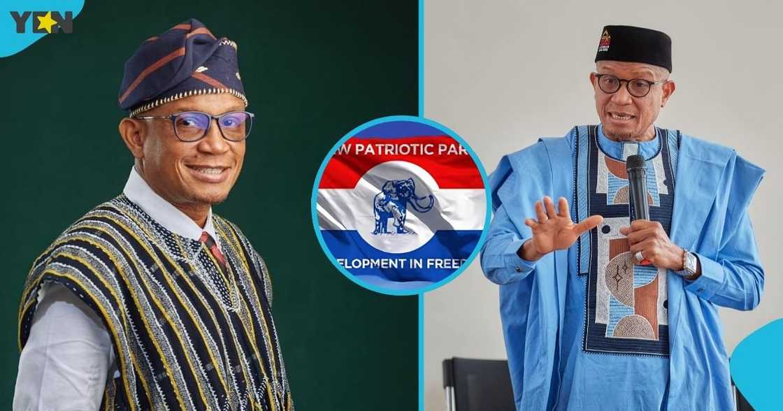 National Petroleum Authority, former NPA boss, Dr Mustapha Abdul-Hamid, NPP, National Vice Chair position, national executive elections