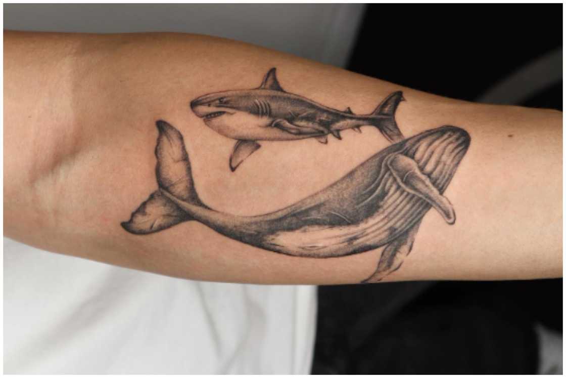 Shark against the whale tattoo