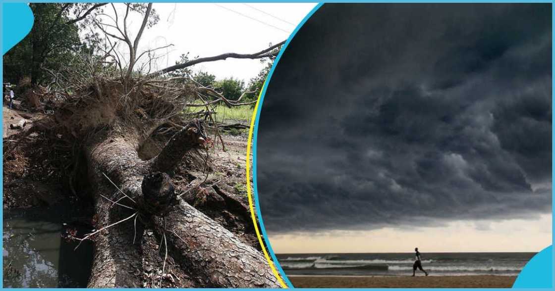 Weather Rain Weather Rain