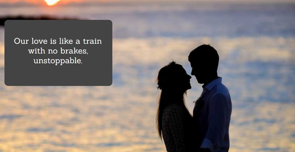 silly quotes silly quotes