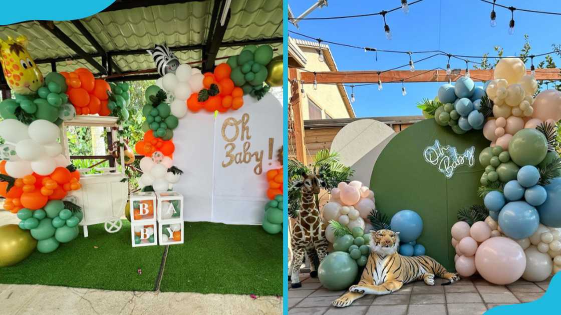 Jungle safari gender reveal Jungle safari gender reveal