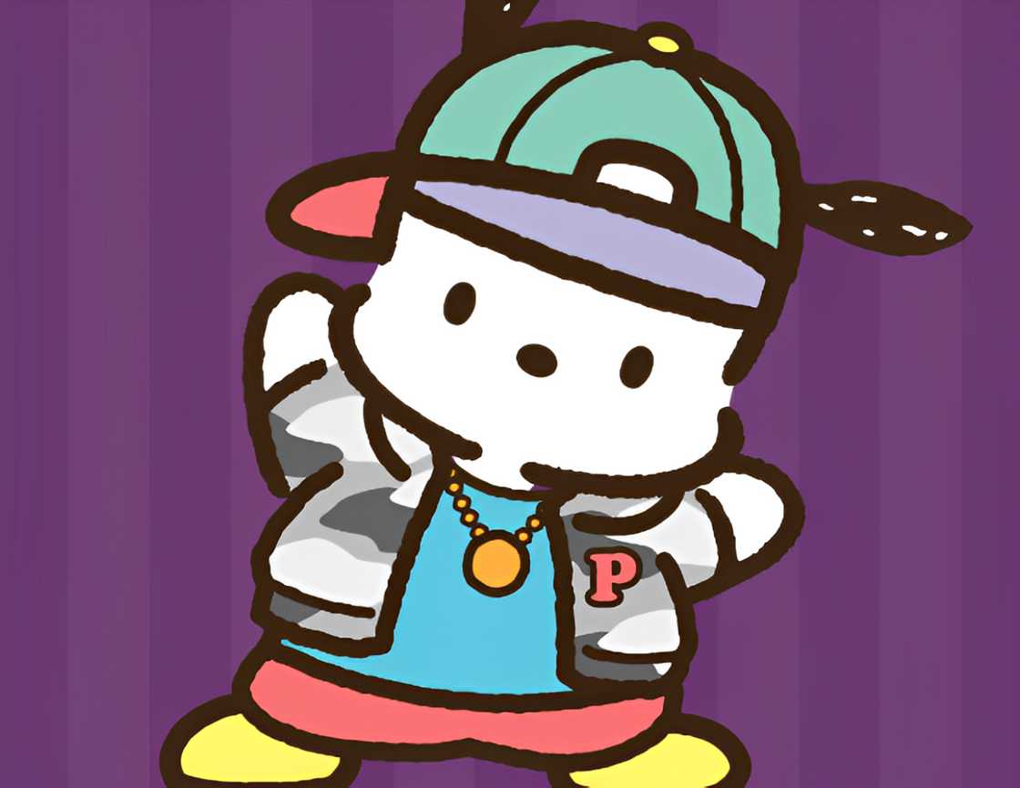 Sanrio character Pochaccho Sanrio character Pochaccho