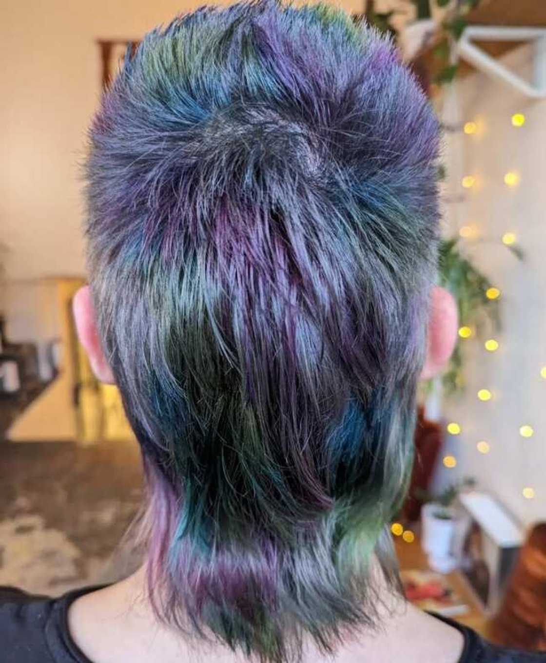 Peacock mullet