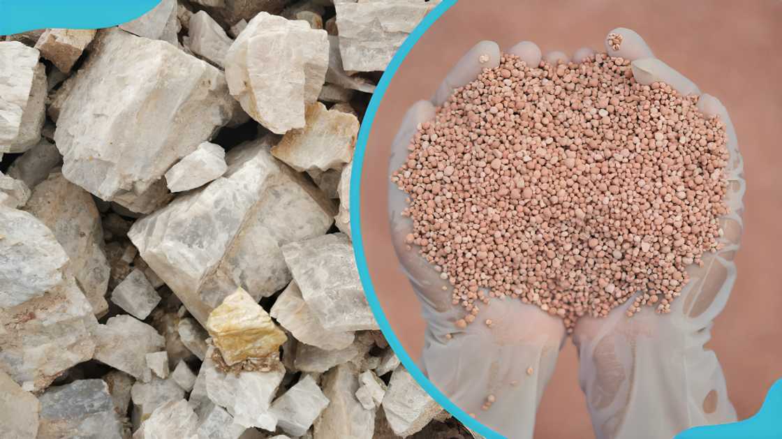 spices in Ghana spices in Ghana