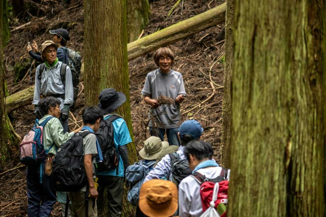 Saito believes in grassroots change led by projects such as Common Forest Japan, his attempt to reconnect with nature and build a democratically run community