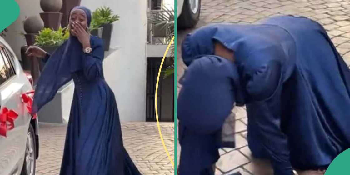 Photo of lady Photo of lady