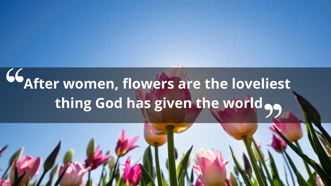 Inspirational quotes about flowers