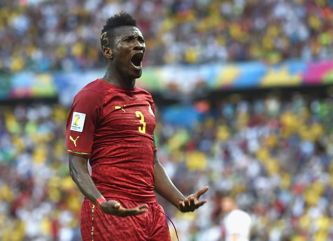 Asamoah Gyan Ventures into Poultry Farming, Seen Inspecting Chickens in Video