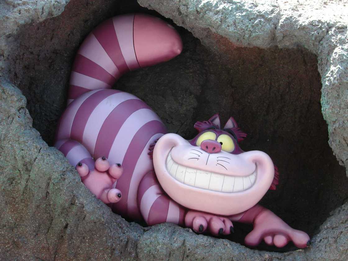 The Cheshire Cat is inside a cave