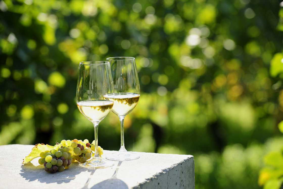 A pair of Riesling glass wine on a flat surface