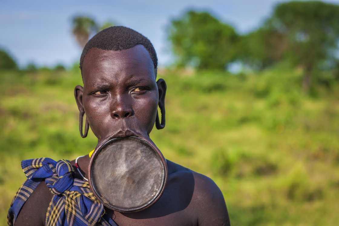 African lip plate African lip plate