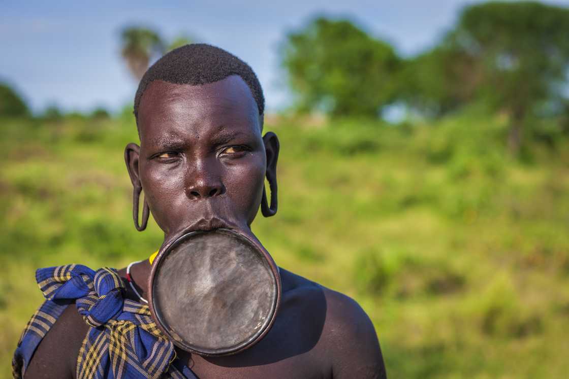 African lip plate