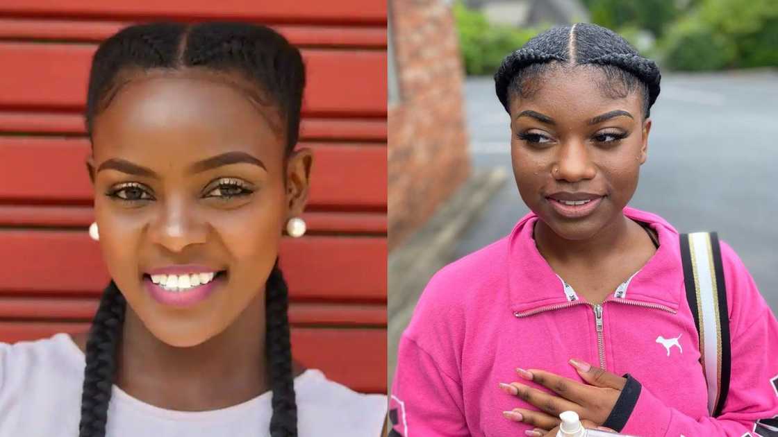 Two braids hairstyles Two braids hairstyles