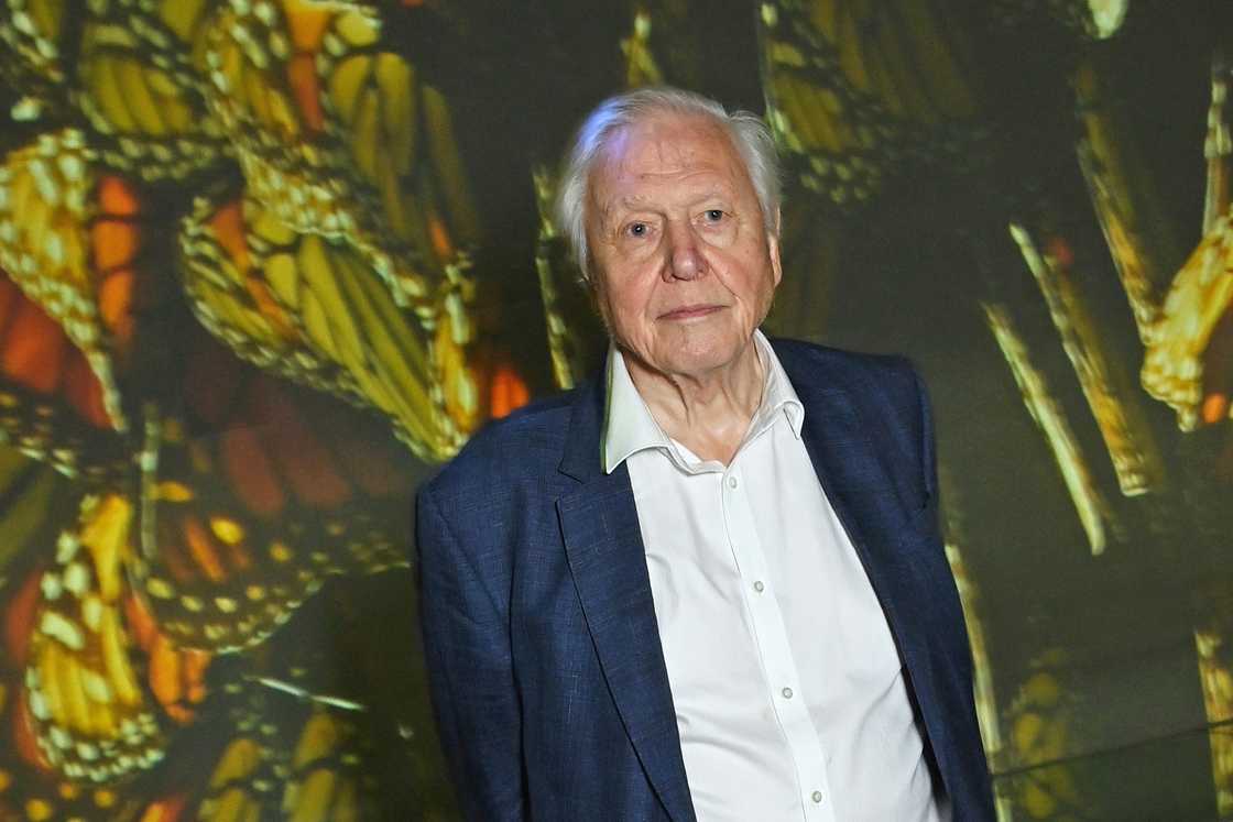 David Attenborough during the Global Launch of BBC Studios' "Planet Earth III" in London, England David Attenborough during the Global Launch of BBC Studios' "Planet Earth III" in London, England
