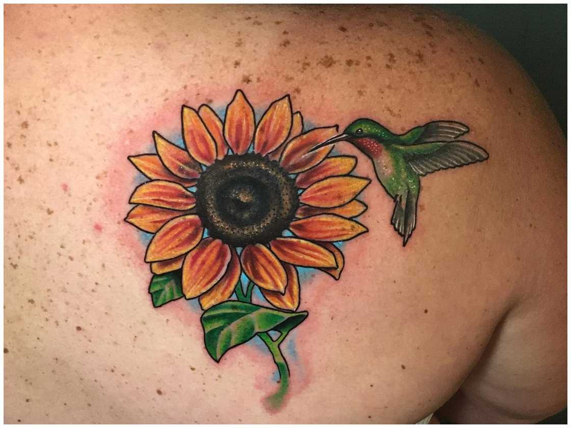Hummingbird tattoo Hummingbird tattoo
