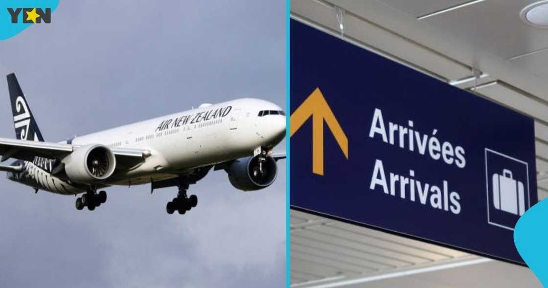 New Zealand, immigration authorities, deportation, foreign nationals, New Zealand border, visit New Zealand, entertainers work visa New Zealand, immigration authorities, deportation, foreign nationals, New Zealand border, visit New Zealand, entertainers work visa