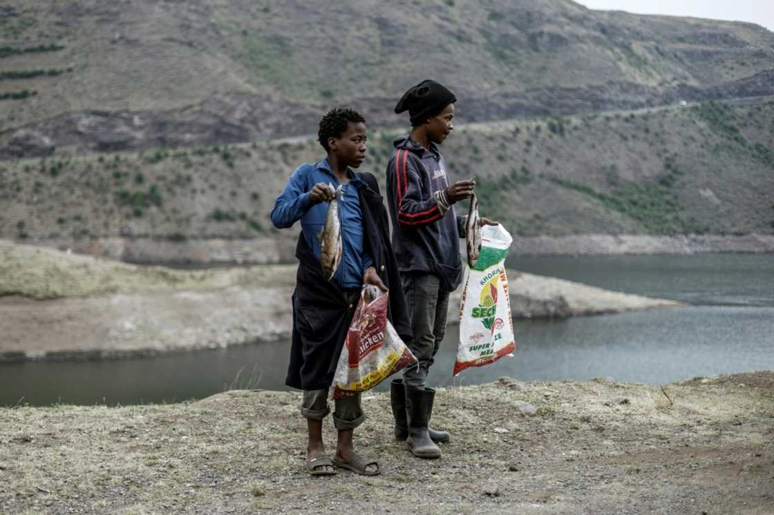 Hard sale: Two boys hawk fish by the roadside in Lejone