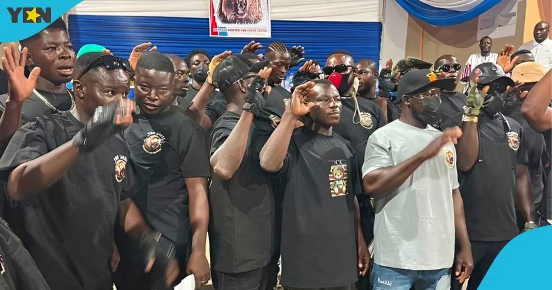 New Patriotic Party, NPP, Ghana, Upper East Region, internal security outfit, Lions of NPP, vigilante group