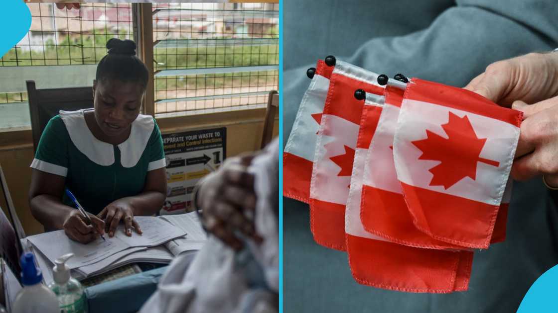 Canada, skilled health care workers, social services, Nurses, Immigration