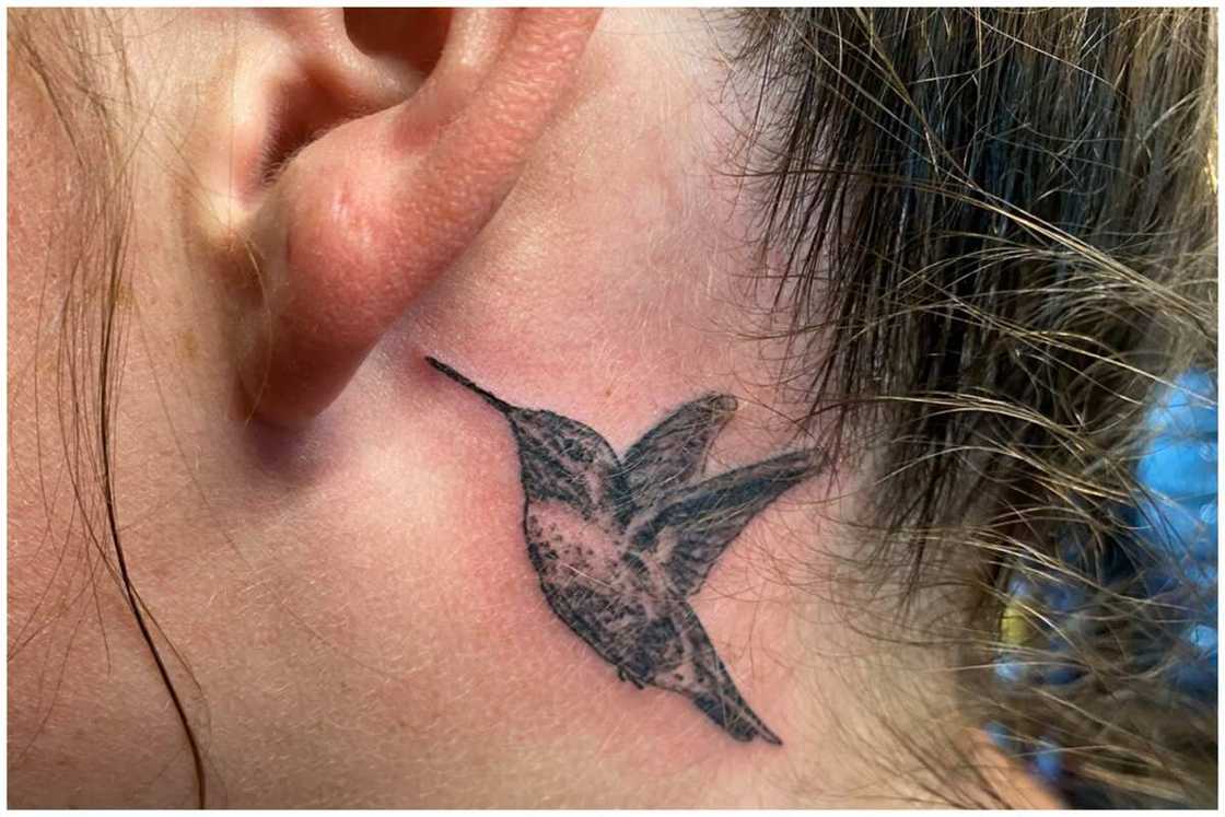 Hummingbird tattoo