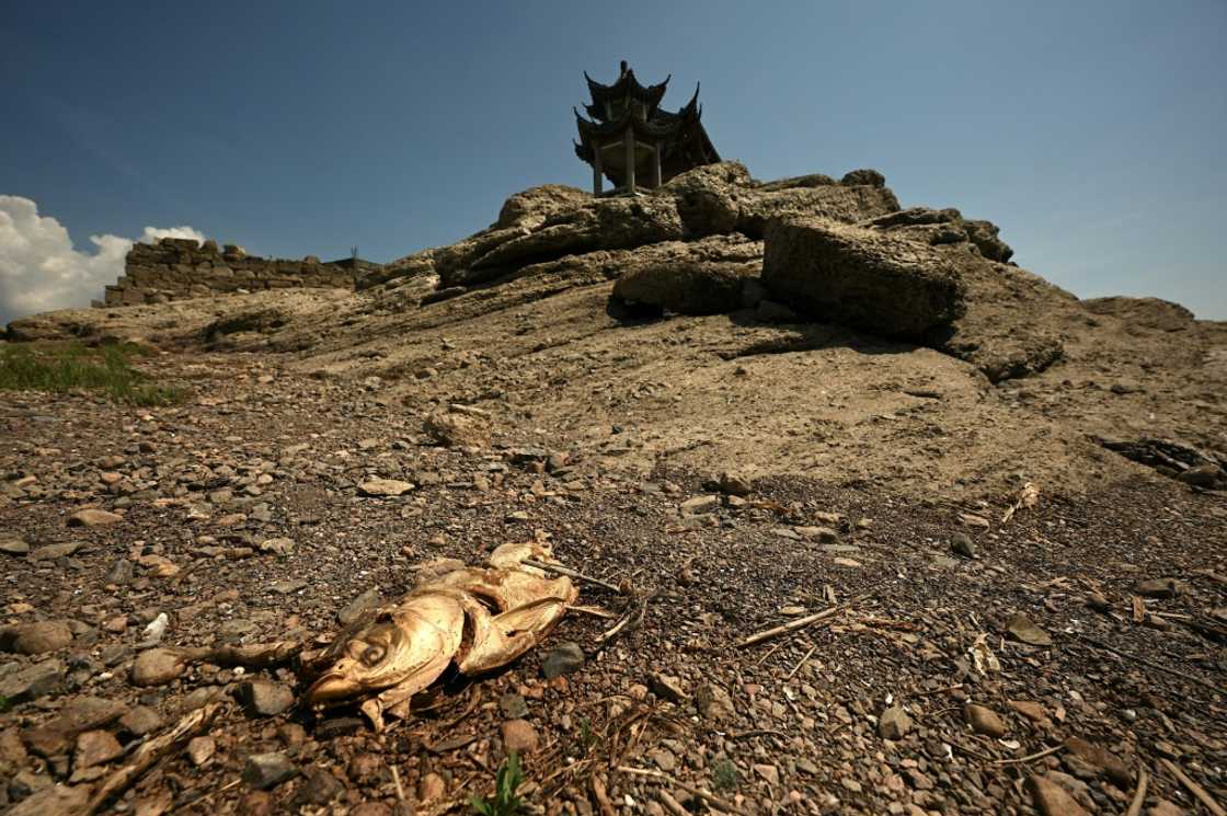 Southern China has recorded its longest continuous period of high temperatures since records began in 1961 Southern China has recorded its longest continuous period of high temperatures since records began in 1961