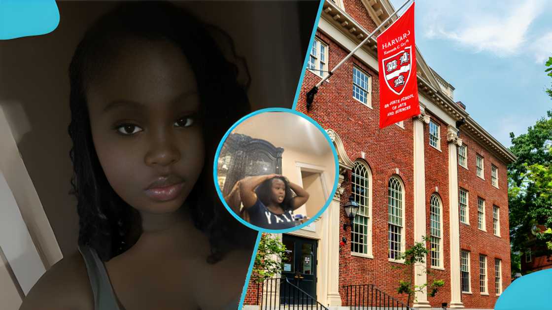 Harvard University, admissions, admissions portal, Universities in Ghana, Fresher, Level 100