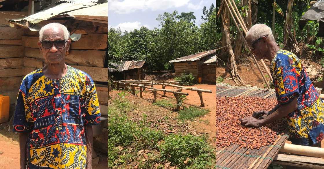 85-year-old Ghanaian farmer discovered living alone in his small 'village'