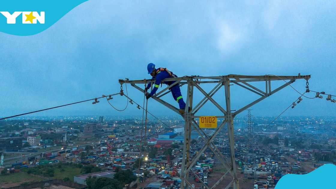 ECG workers