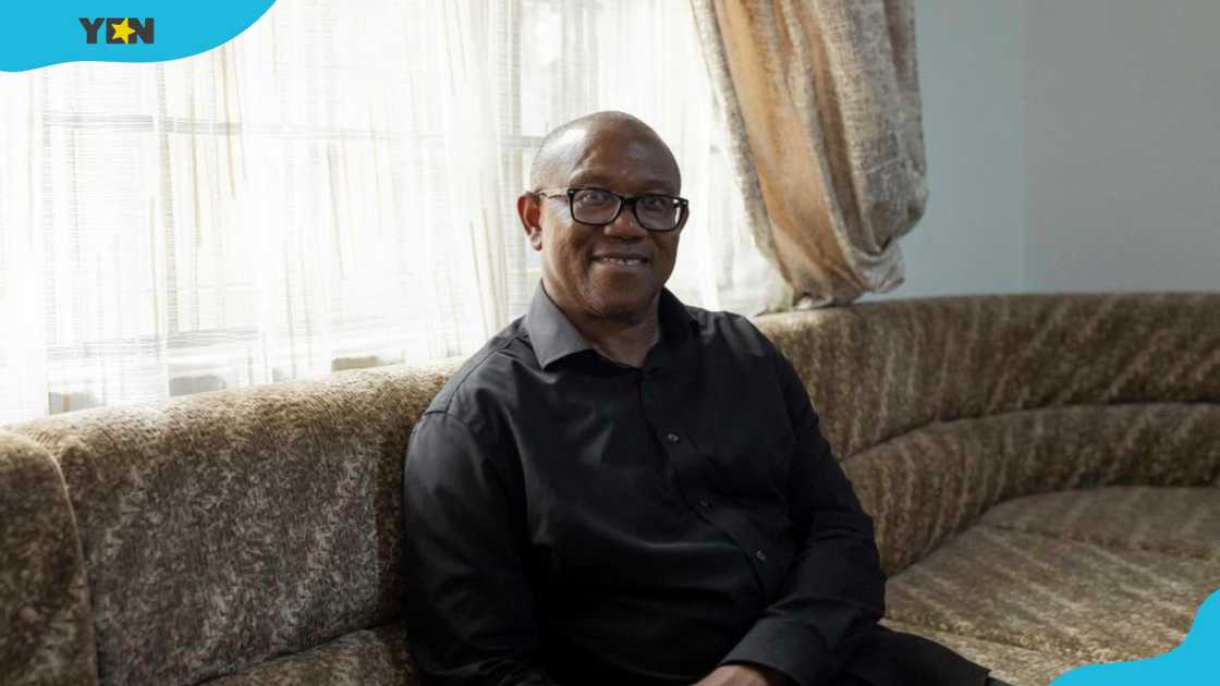 Peter Obi's net worth