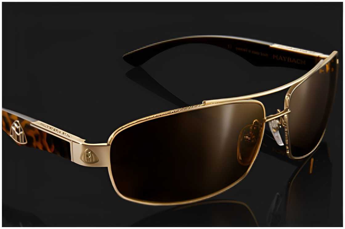 The Maybach The Diplomat I sunglasses The Maybach The Diplomat I sunglasses