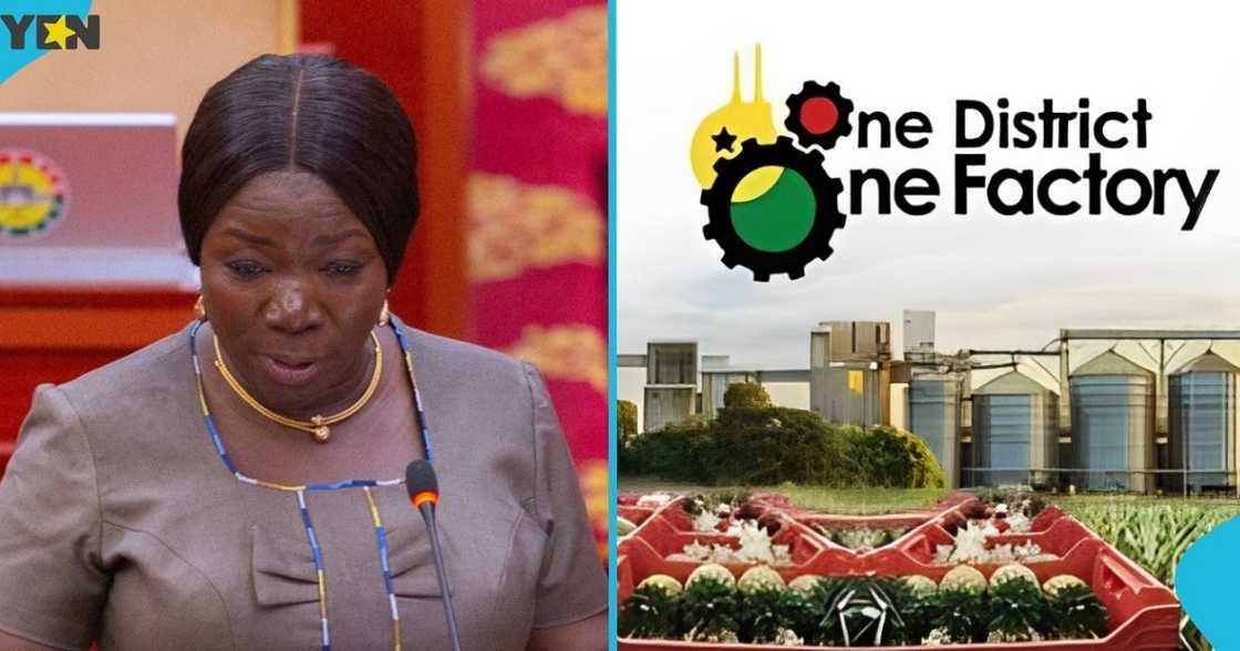 Elizabeth Ofosu-Adjare, Minister for Trade, Agricbusiness and Industry, Techiman North MP, 1D1F Programme, 24-Hour Economy Policy, Agro-processing Hubs. Elizabeth Ofosu-Adjare, Minister for Trade, Agricbusiness and Industry, Techiman North MP, 1D1F Programme, 24-Hour Economy Policy, Agro-processing Hubs.