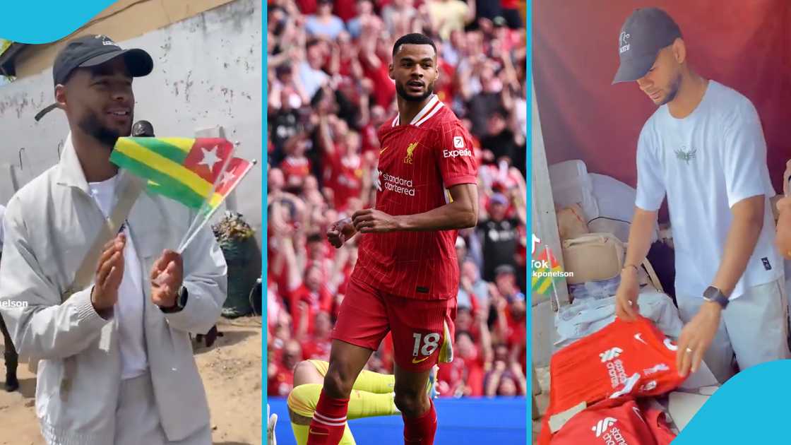 Cody Gakpo, Togo, Liverpool, 2024/25 football season Cody Gakpo, Togo, Liverpool, 2024/25 football season