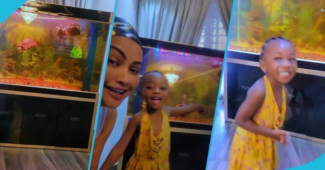 Nana Ama McBrown and Adepa Nana Ama McBrown and Adepa