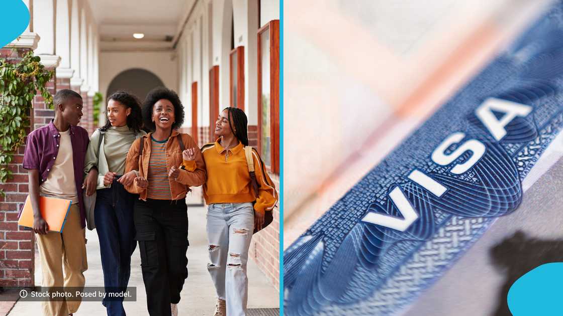 Visa, Ghana, Visa Officer, Travel, Student, New Zealand, Wokers
