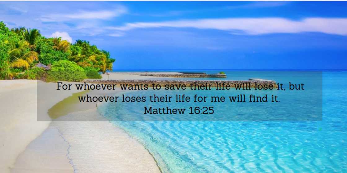 words of wisdom words of wisdom